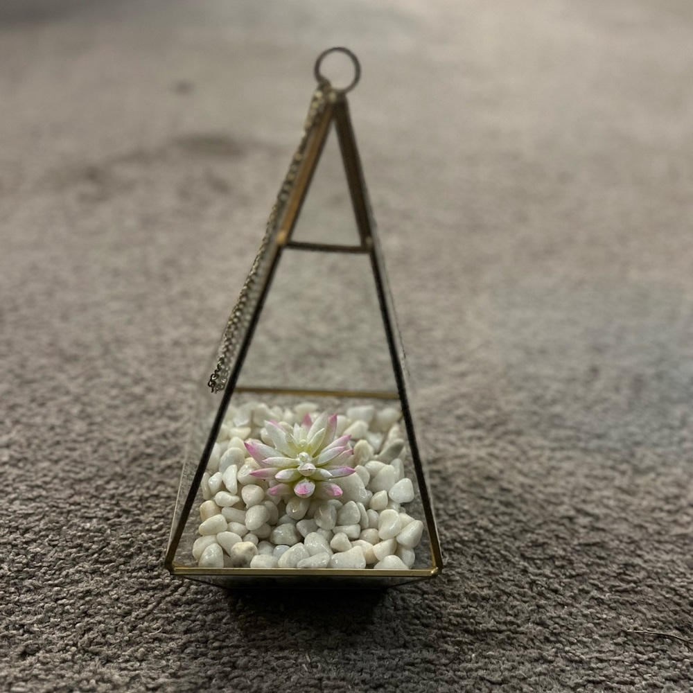 Wall decor with hanger